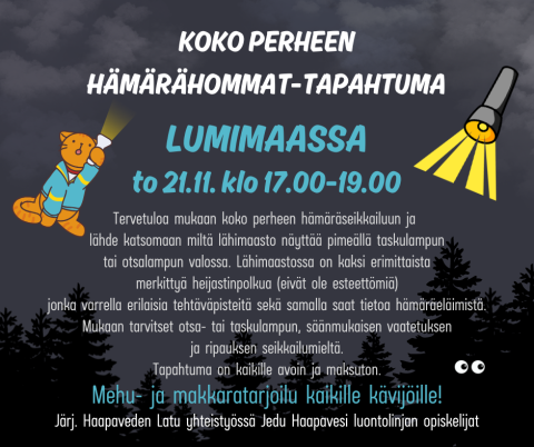 Koko perheen Hämärähommat